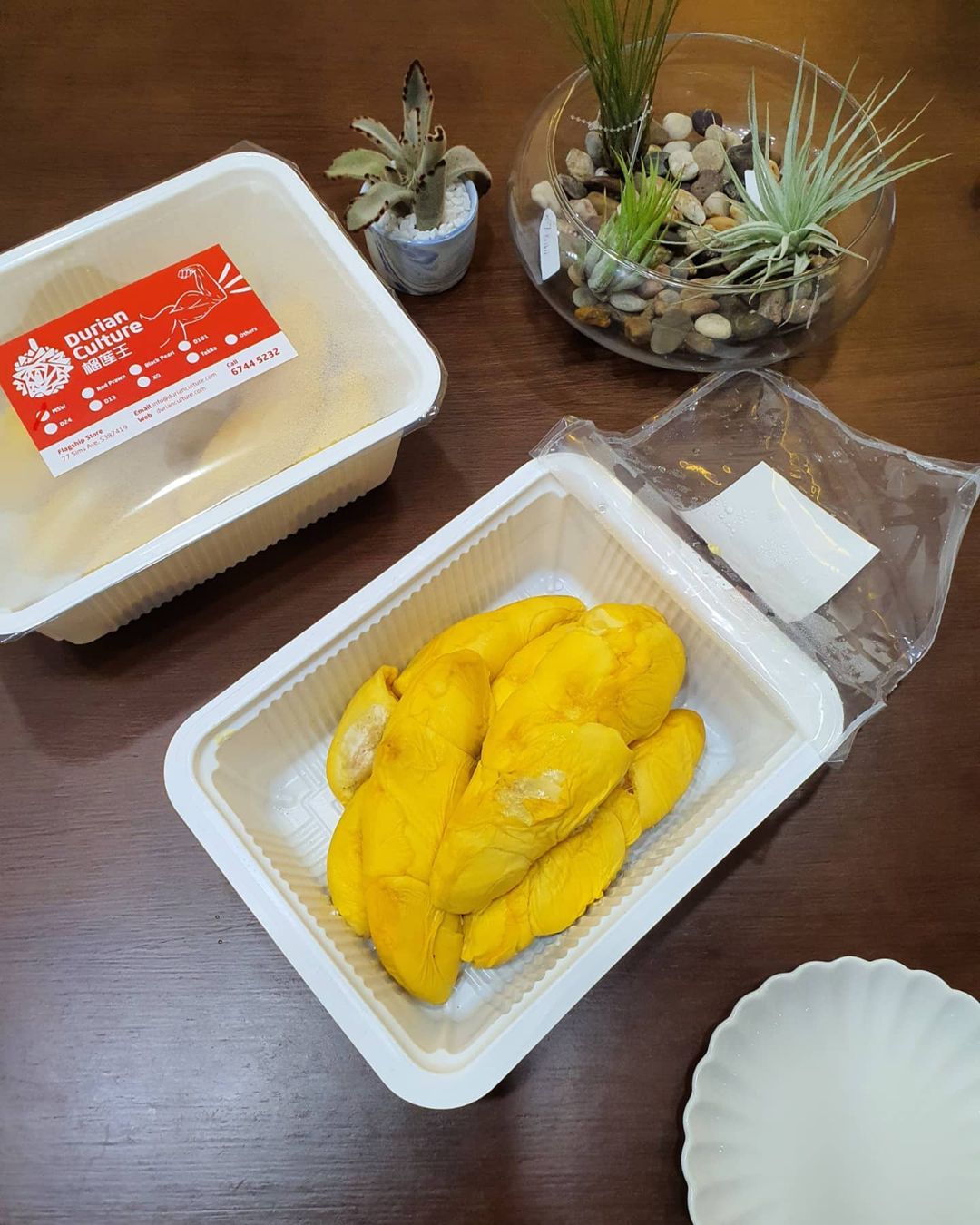 durian culture - msw