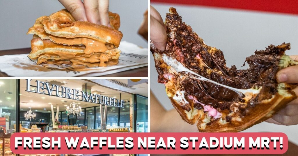 levure naturelle cover