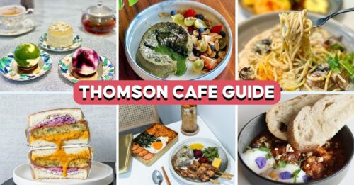 thomson-cafes-feature-image