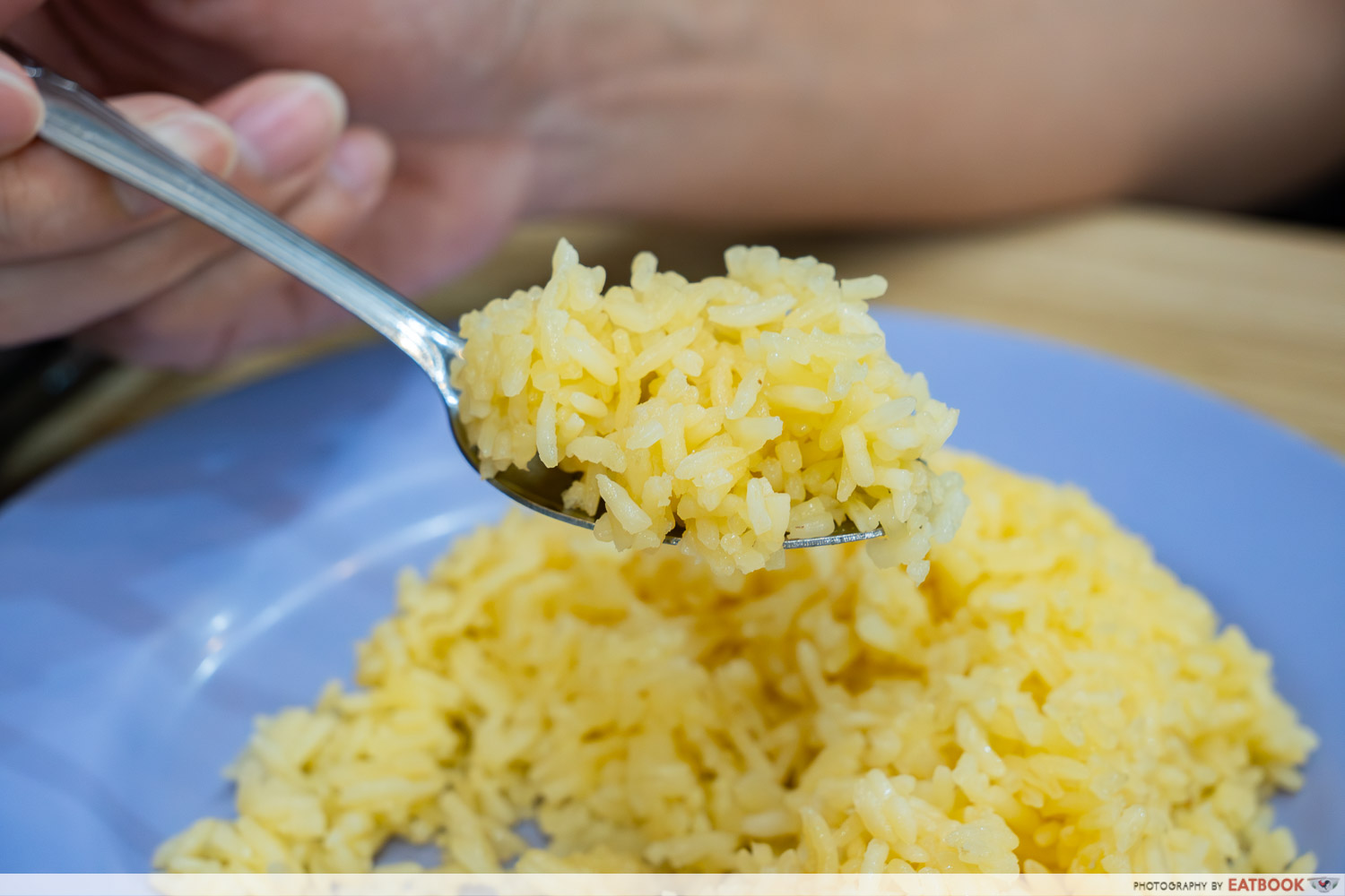 katong-mei-wei-chicken-rice-rice-interaction