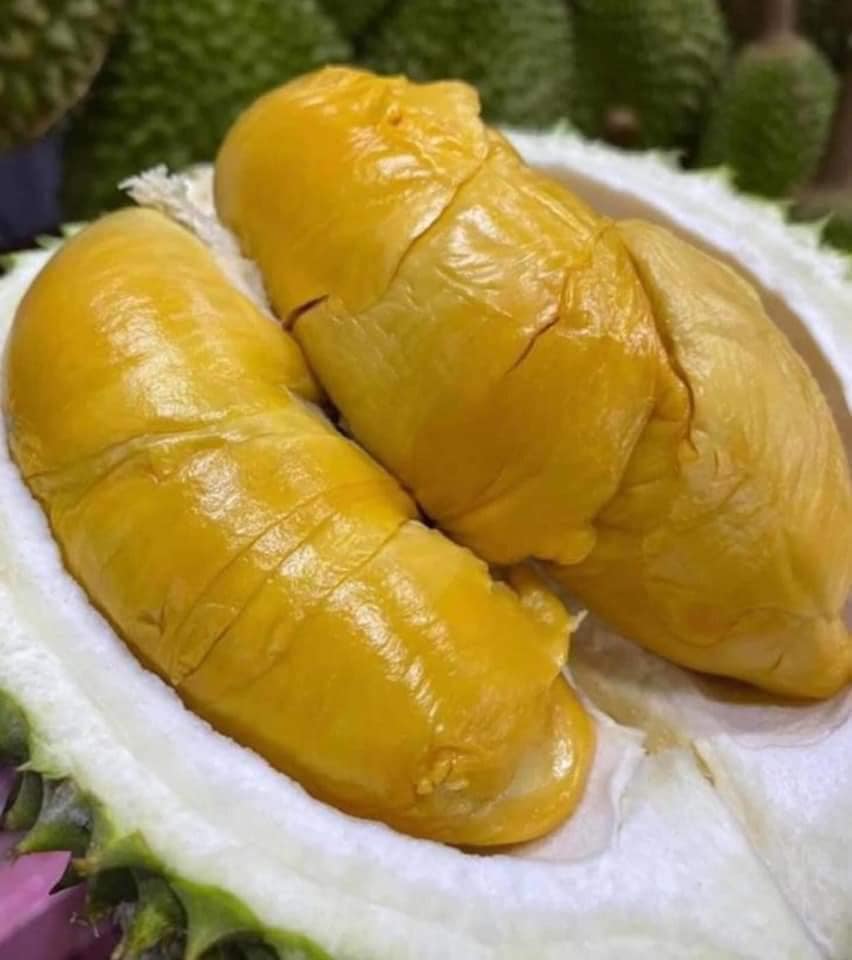 lexus durian king buffet msw