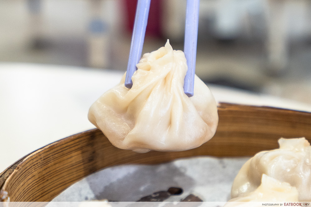 rong xing la mian xiao long bao - xlb closeup