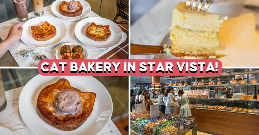 Catbake - feature image