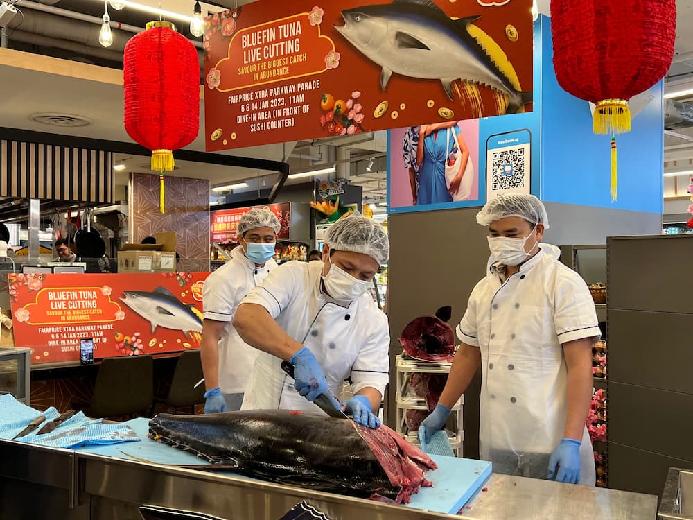 bluefin tuna cutting