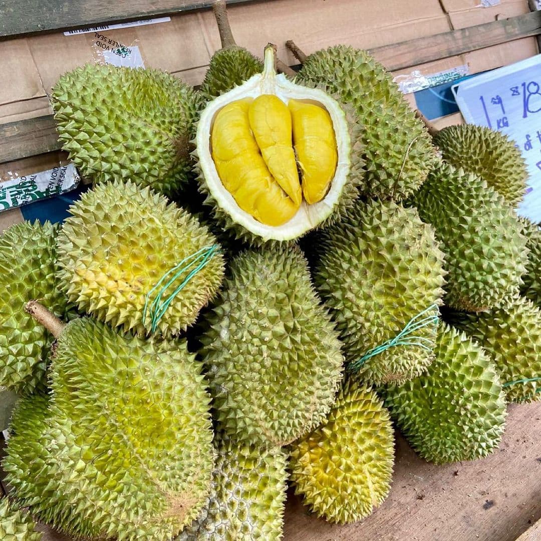 best-durian-in-sg