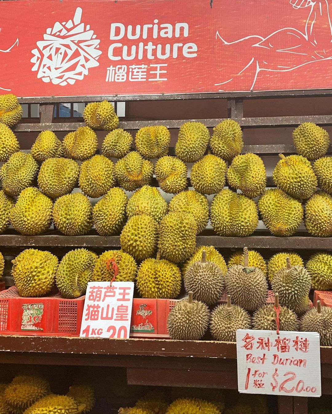 best-durian-in-singapore