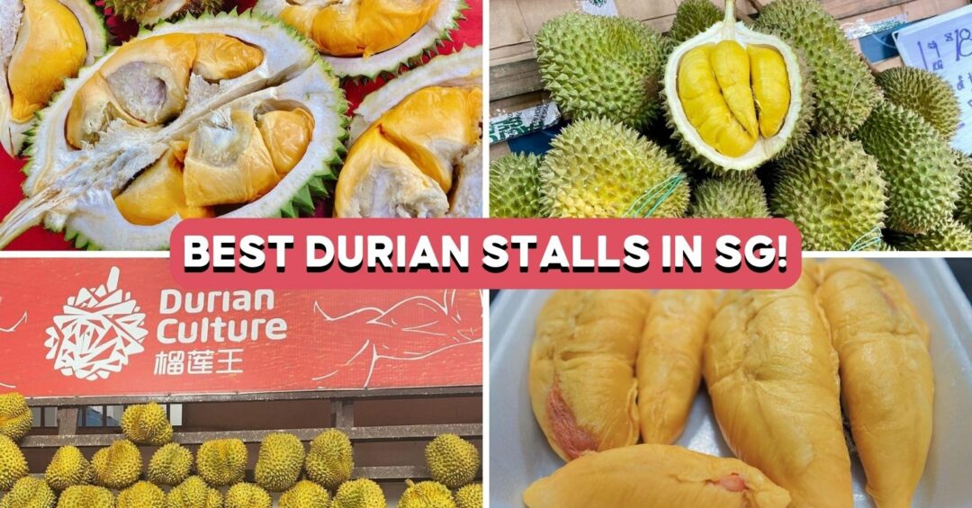 best-durian-singapore