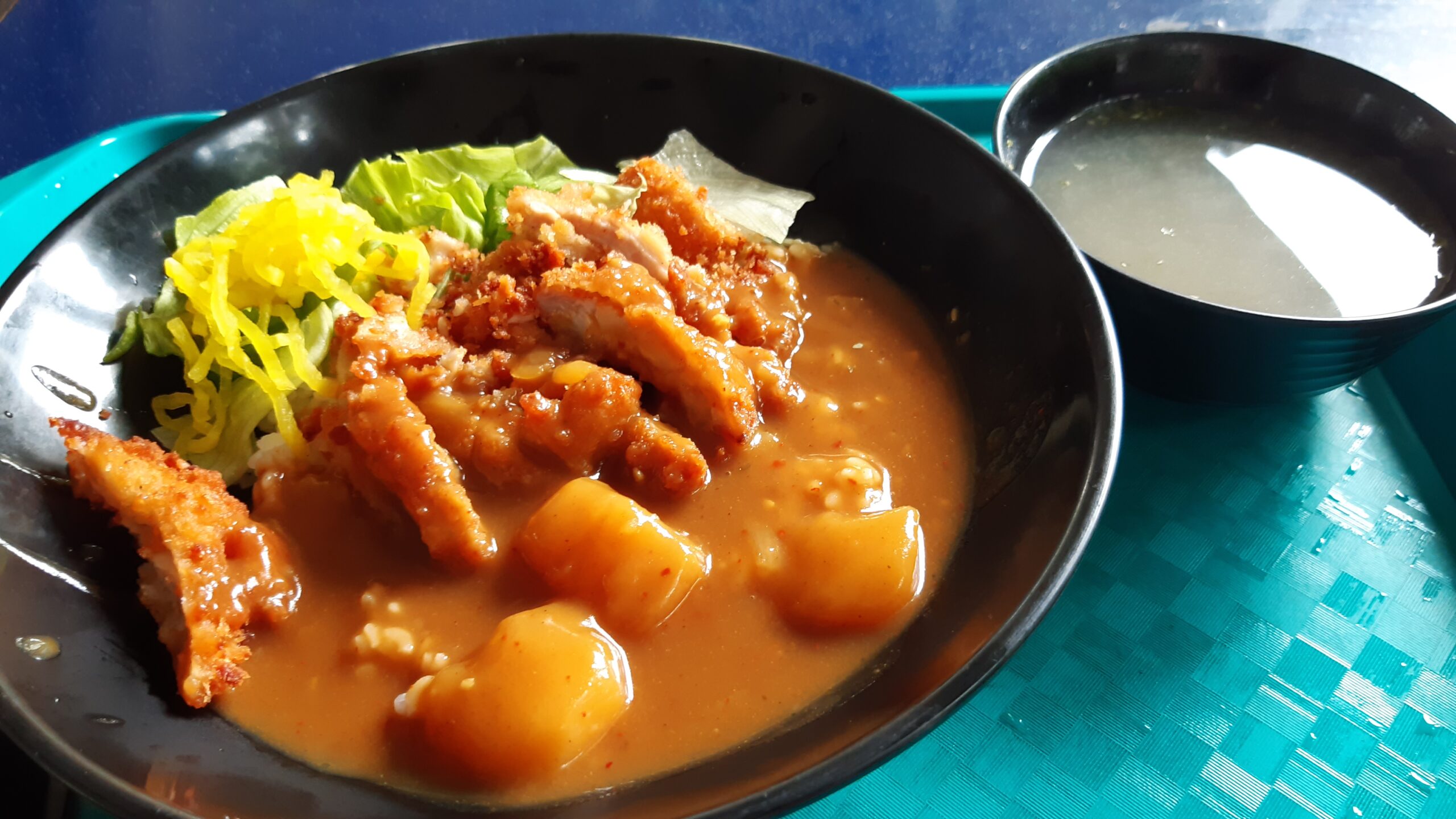 nus-food-japanese