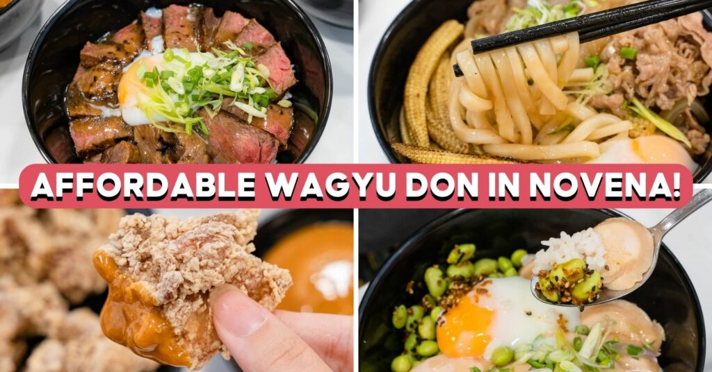 FUKUDON- COVER IMAGE