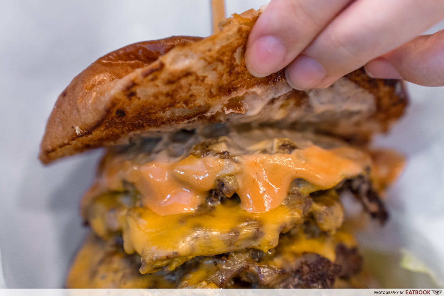 big boy franks- mothership burger close up