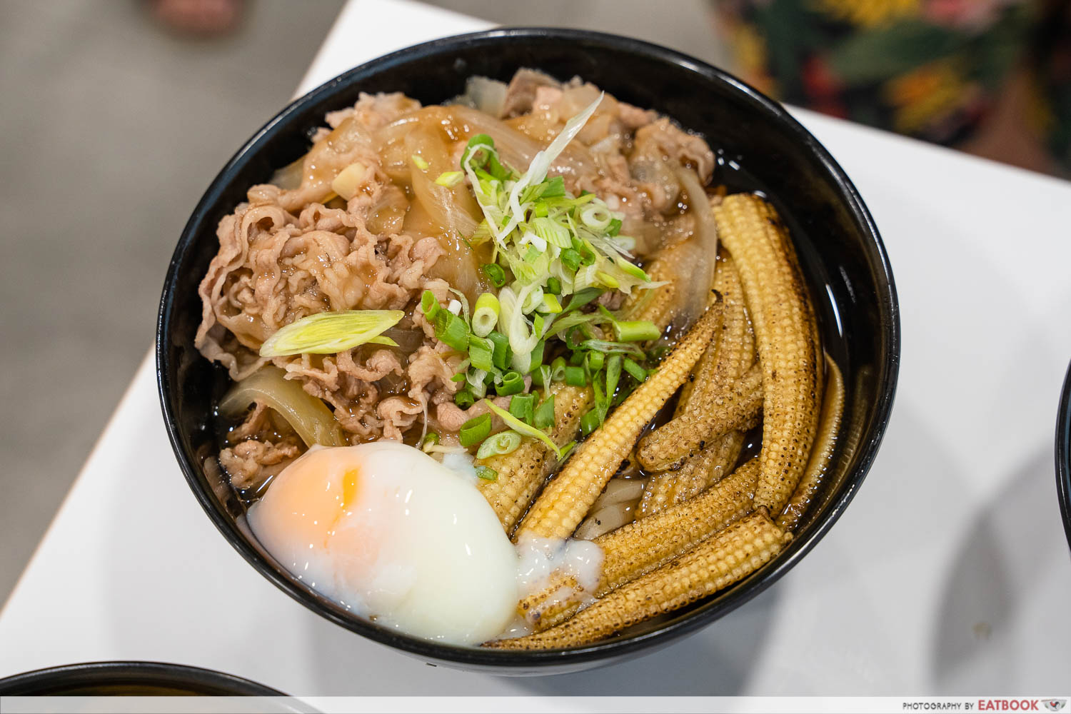 fukudon- beef udon intro shot