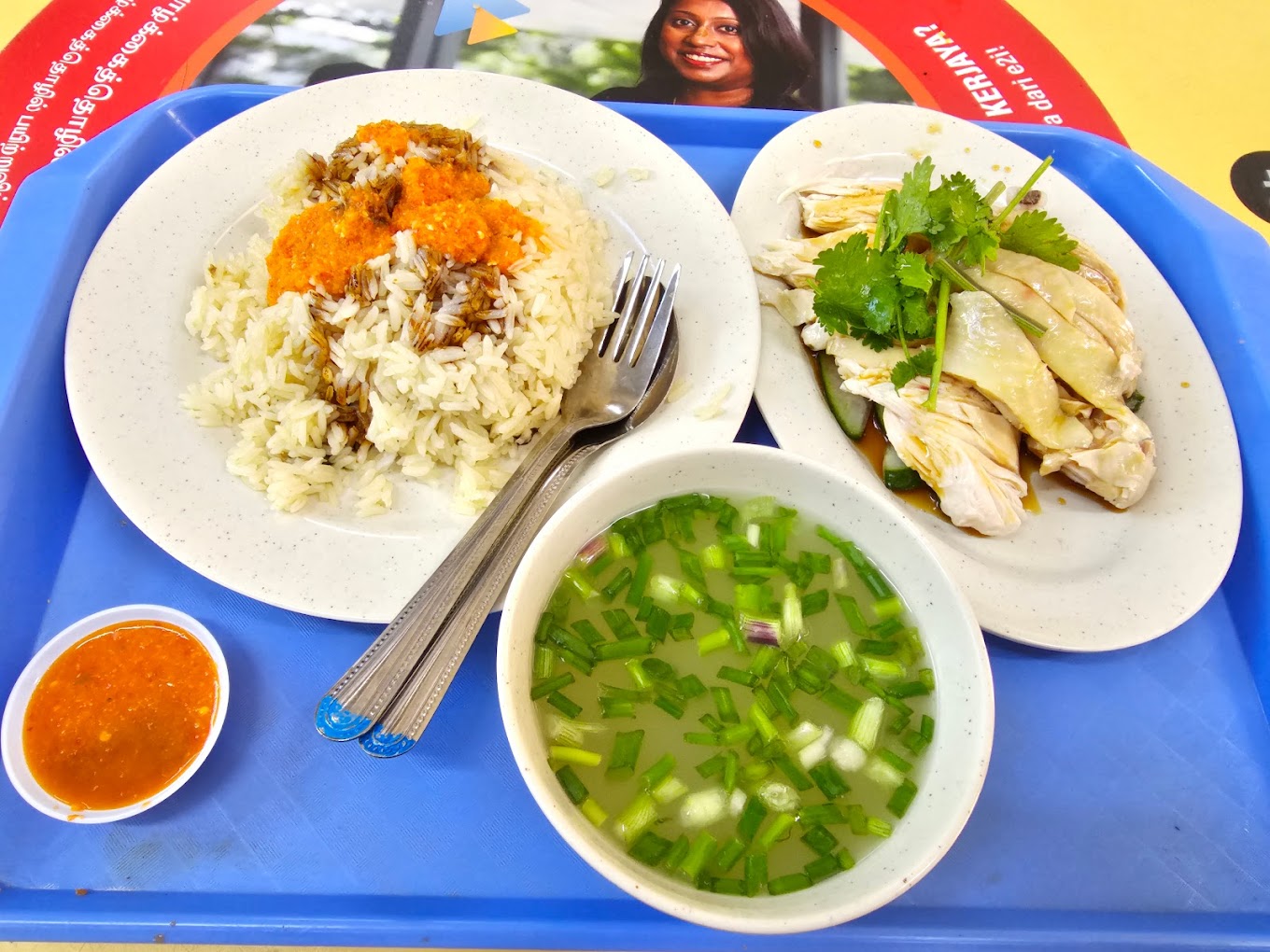 traditional rui ji chicken rice - chicken rice with soup