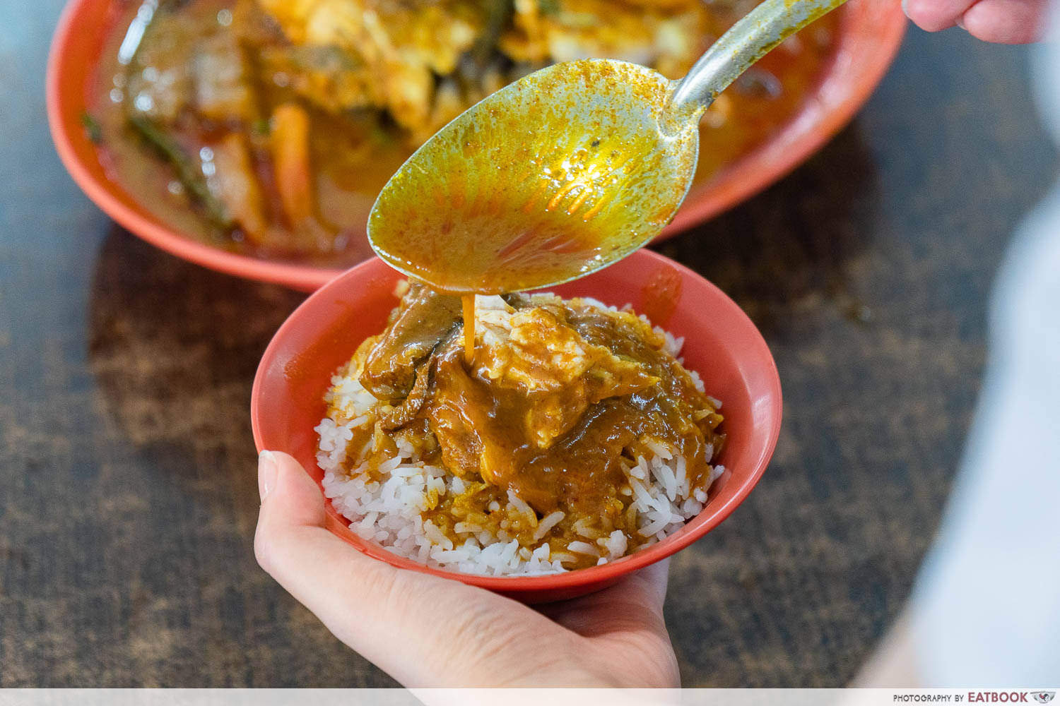 zai shun curry fish head curry rice