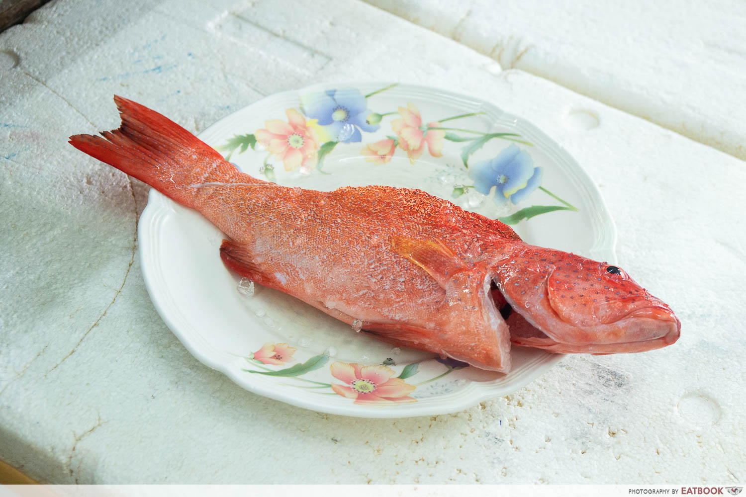 zai shun curry fish head red grouper