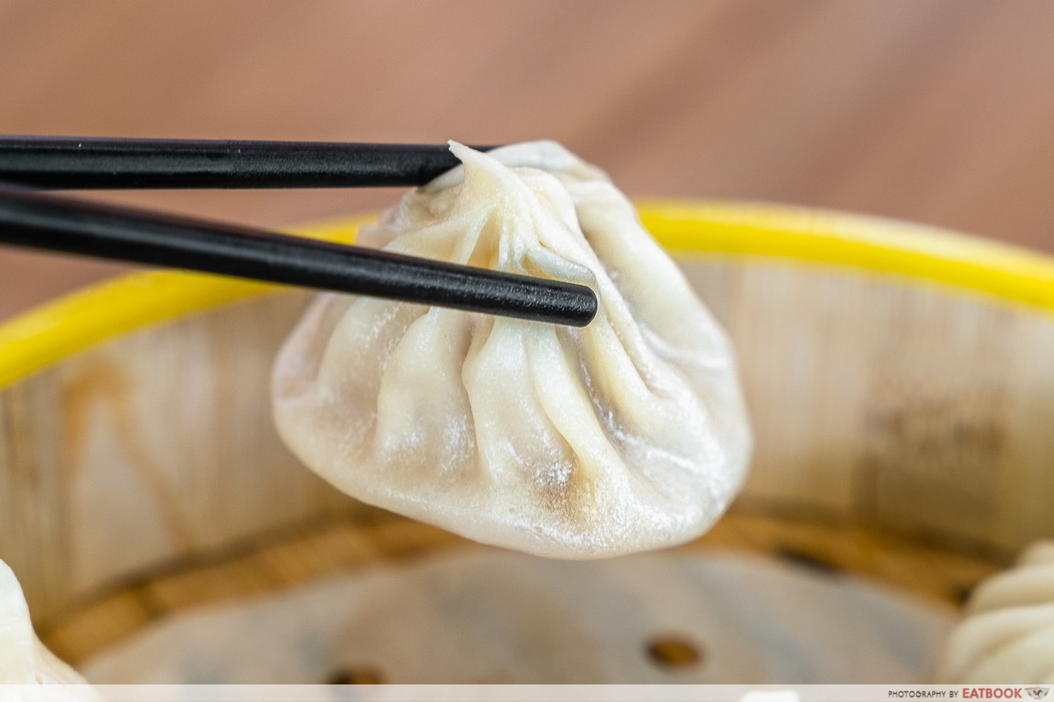 Flourful Delight - xiao long bao close up