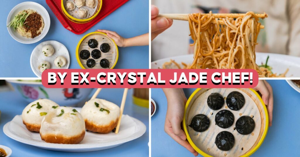 Shang_Hai_Fried_Xiao_Long_Bao_Cover_Image