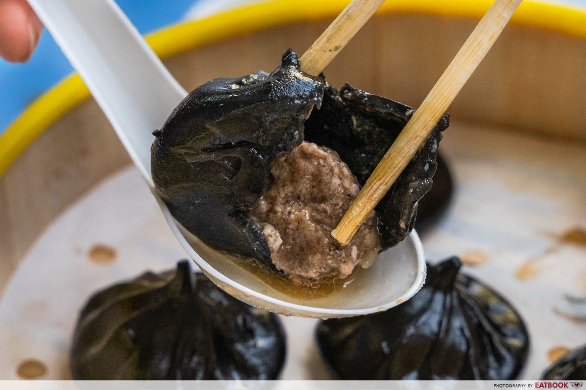 Shang Hai Fried Xiao Long Bao Review Eatbook.sg