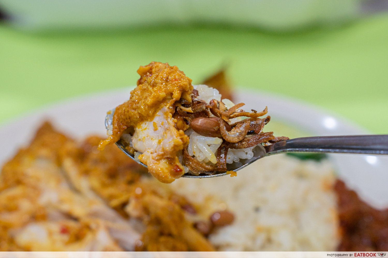 chicken-rendang-rice-scoop-close-up