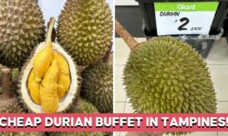 giant-tampines-durian-buffet-cover-update