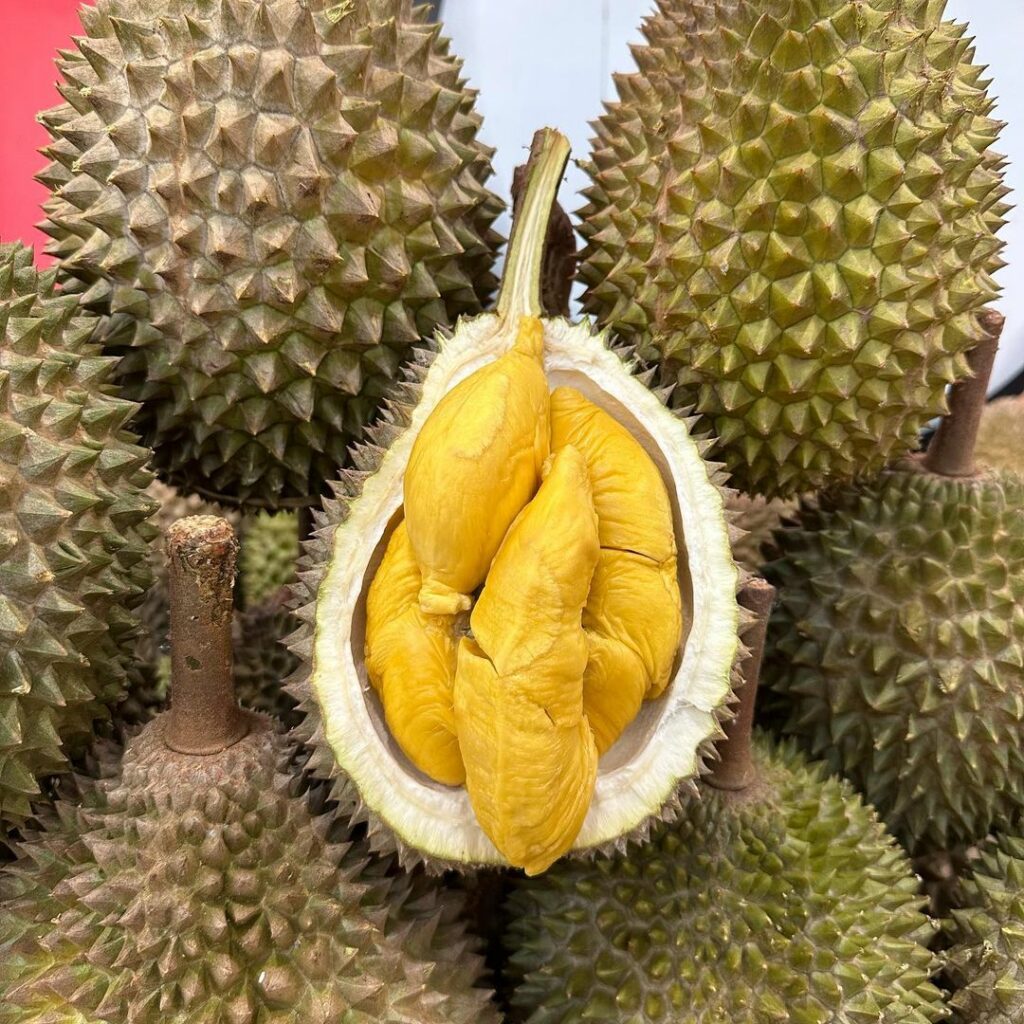 giant-tampines-hypermarket-durian-buffet