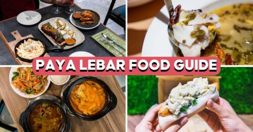 plq-paya-lebar-guide-cover