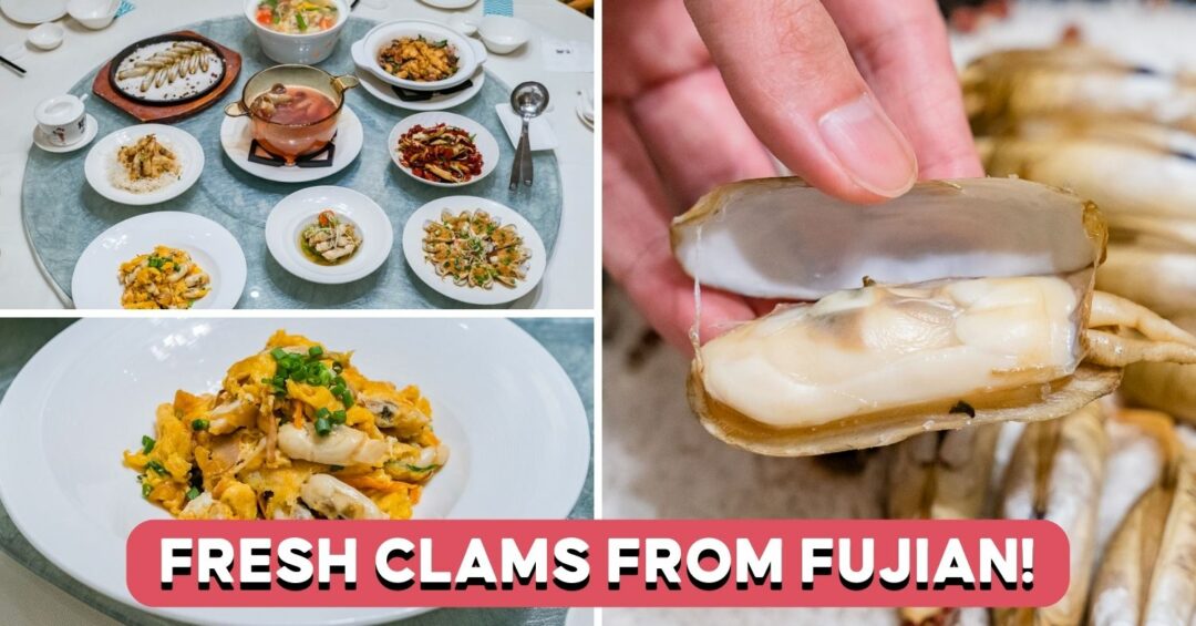 putien-duotou-clams-2023-feature-image