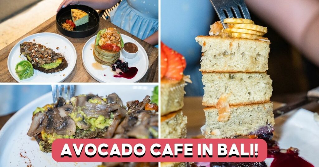 the-avocado-factory-feature-image