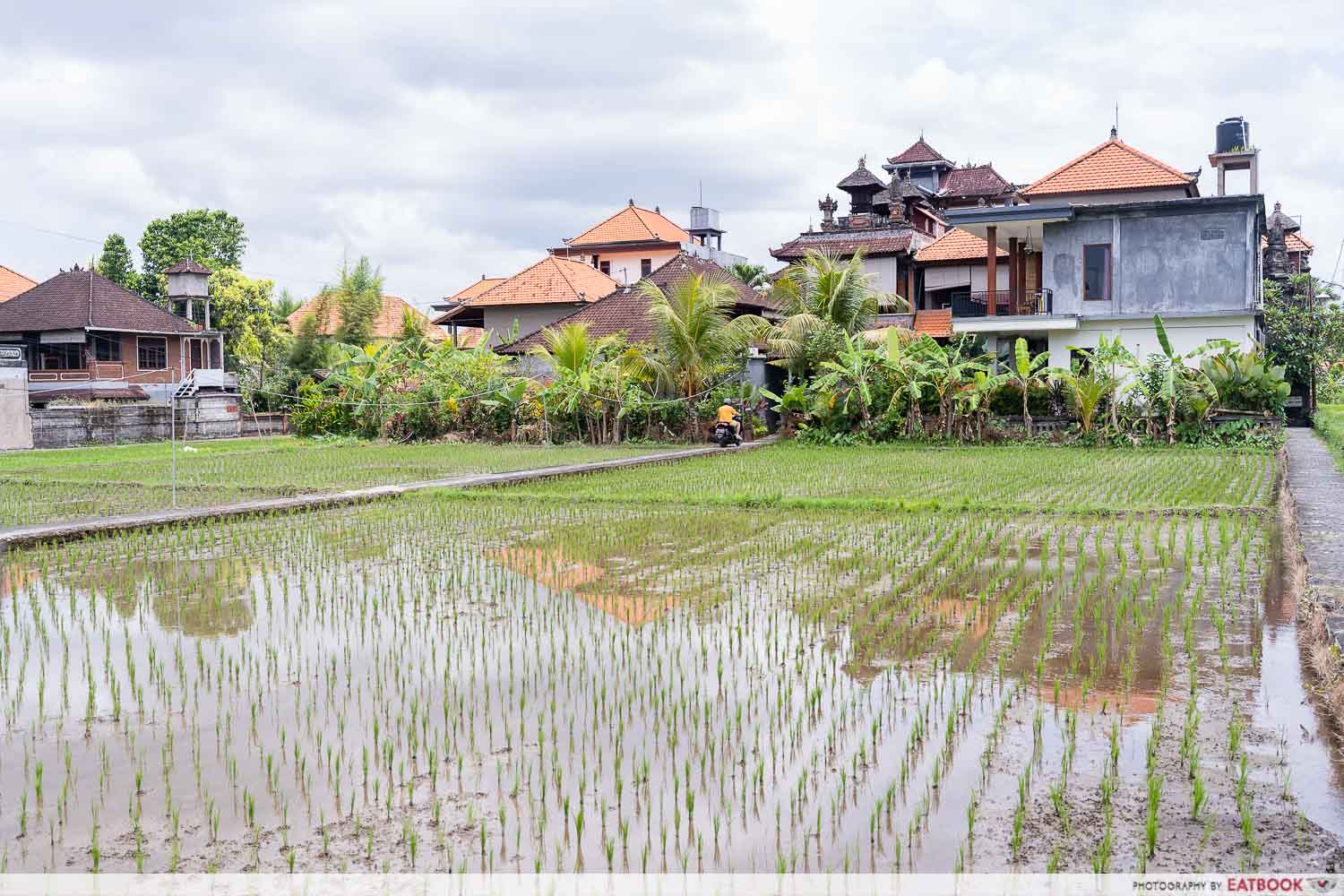 warung-gauri-paddy-fields