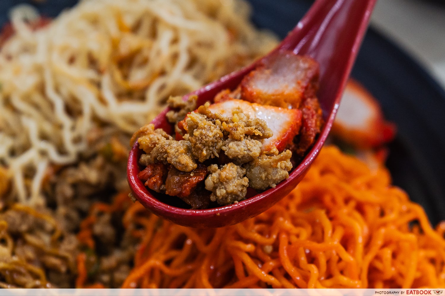 219-Sarawak-Kolo-Mee-minced-meat-char-siew-close-up