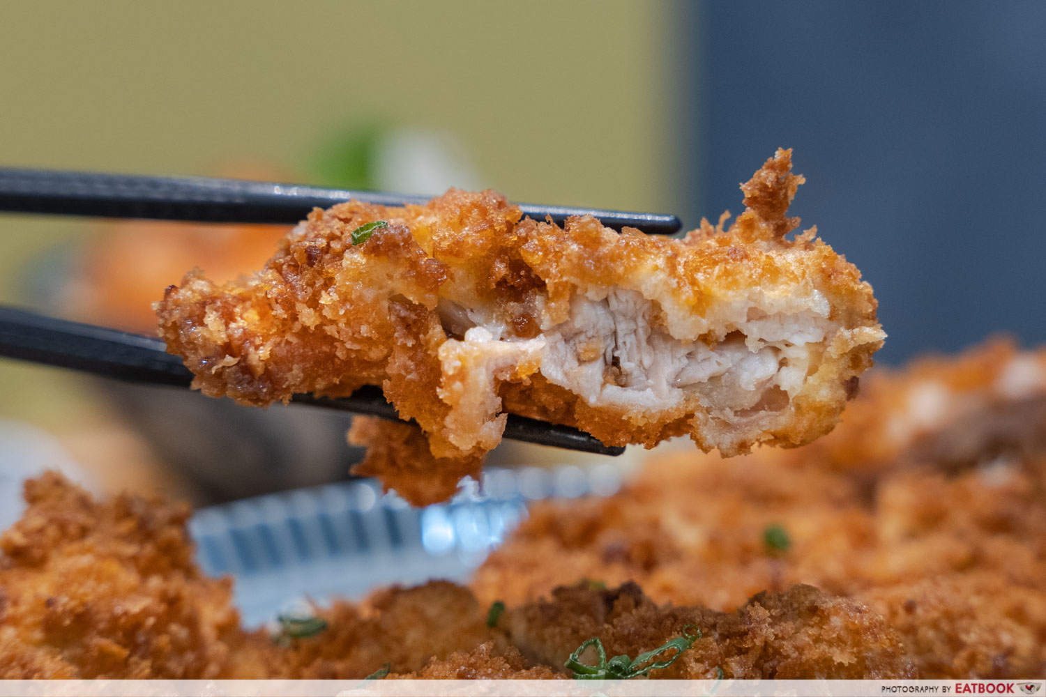 chicken-katsu-close-up