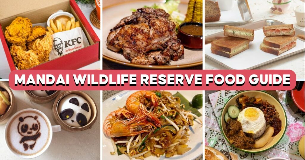 mandai-wildlife-feature-image