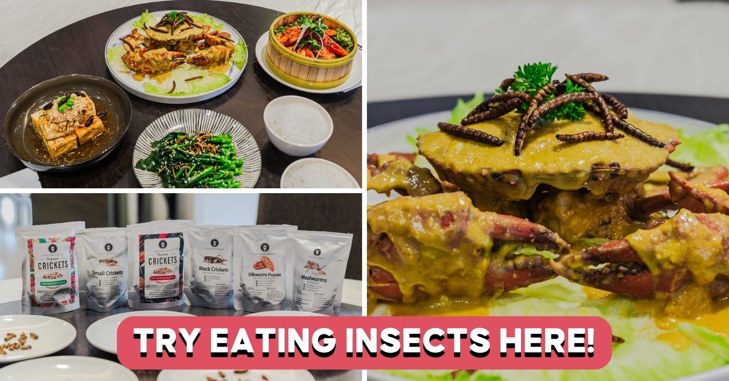 house-of-seafood-insects-feature