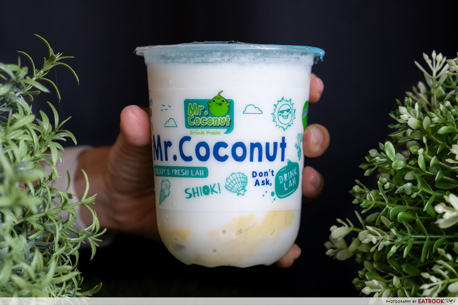 mr coconut - coconut mao shan wang shake single