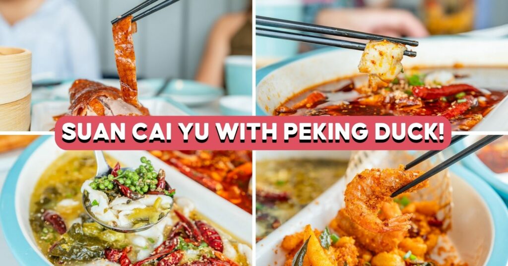 yao yao sauerkraut fish cover