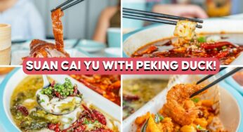 YAO YAO Sauerkraut Fish Review: Famous Chinese Suan Cai Yu With XXL You Tiao Now In Singapore