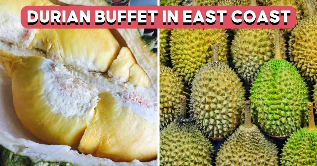 da jiu dou hao durian buffet