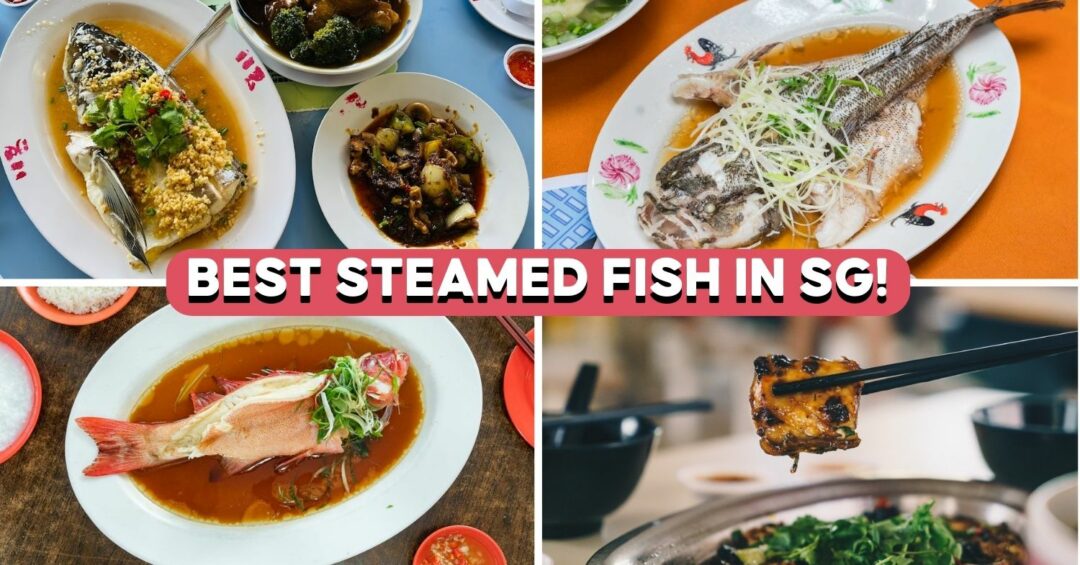 steamed fish in sg cover