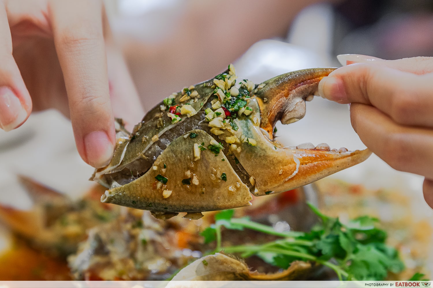 marinated-crab-claw-closeup