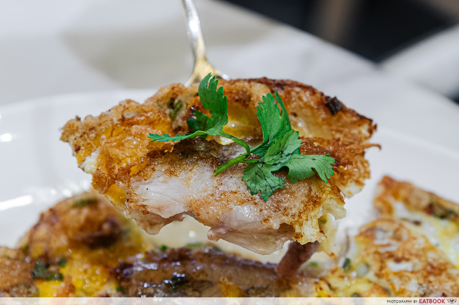 fish-omelette-closeup