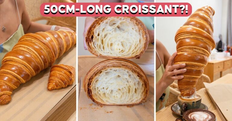 alice boulangerie xxxl croissant cover