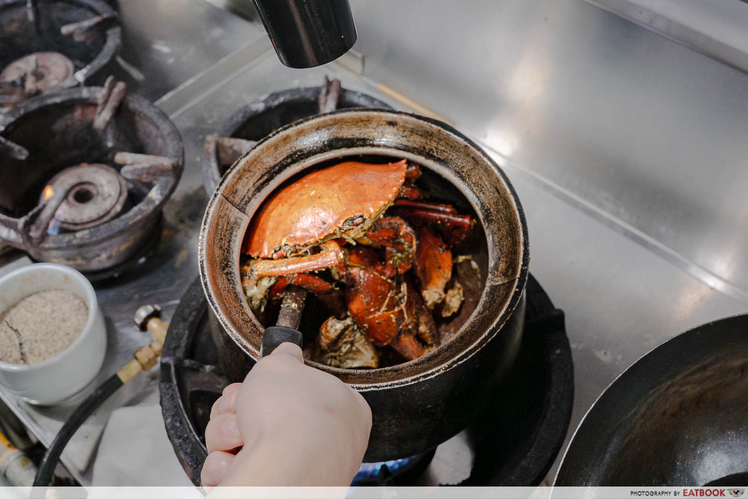 shrimp-prawn-seafood-freefood-dog-mother-crab