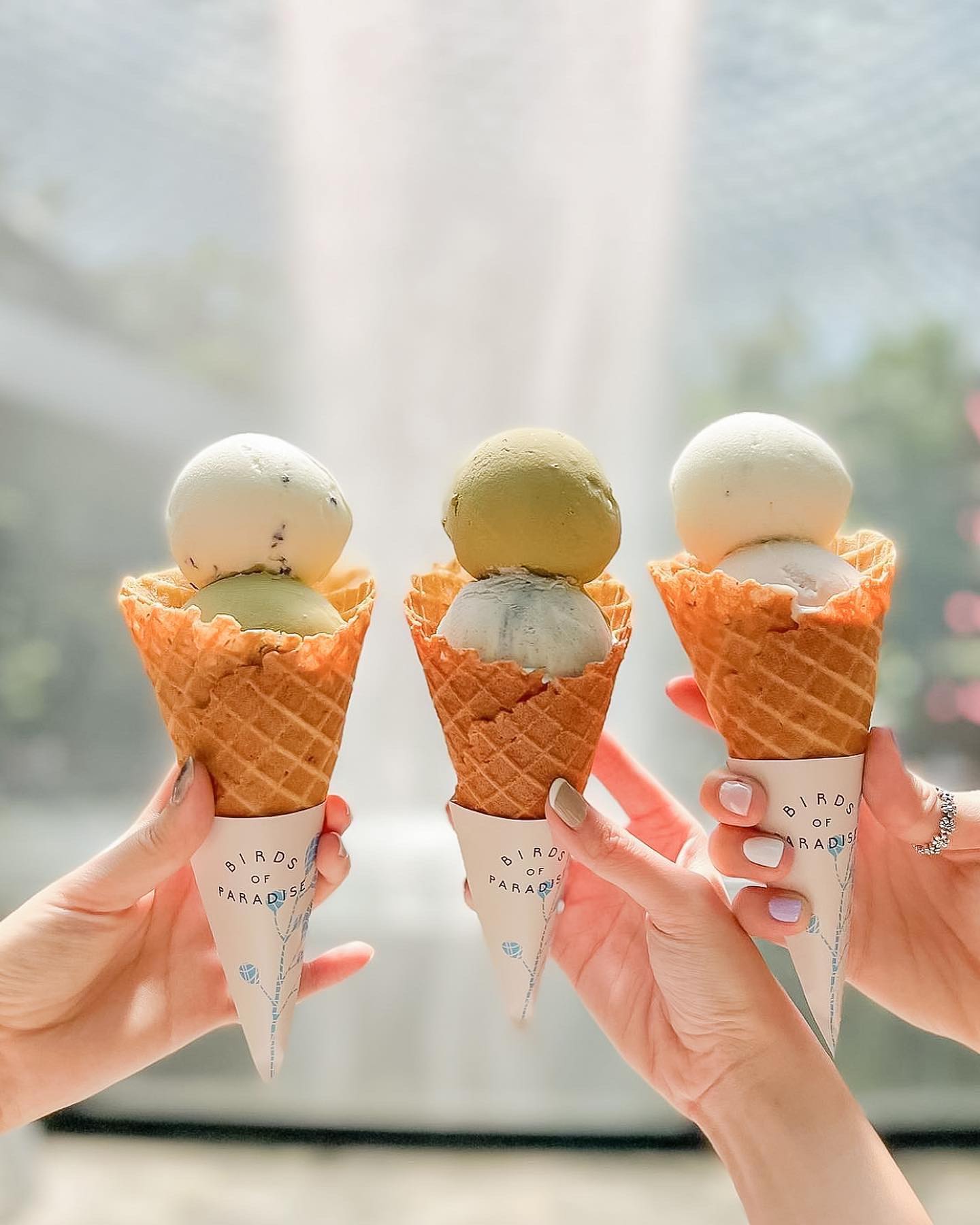 birds of paradise gelato - double scoop cones