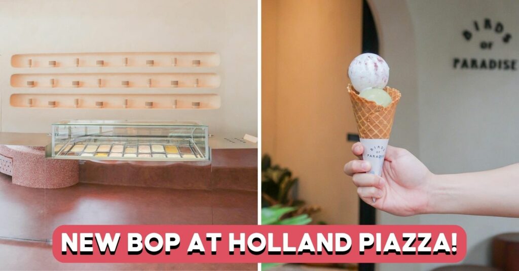 birds-of-paradise-holland-village-feature-image (1)