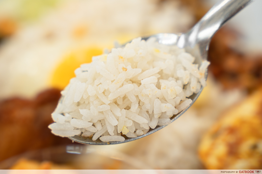 so-lemak-set-rice