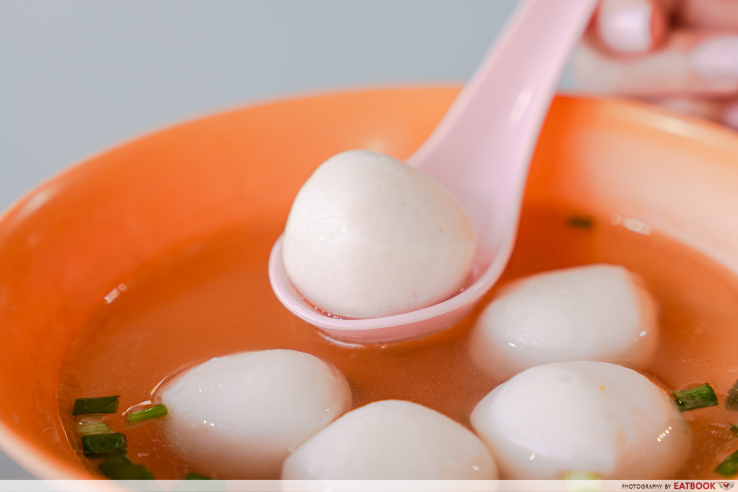 xin lu fishball noodle - fishball
