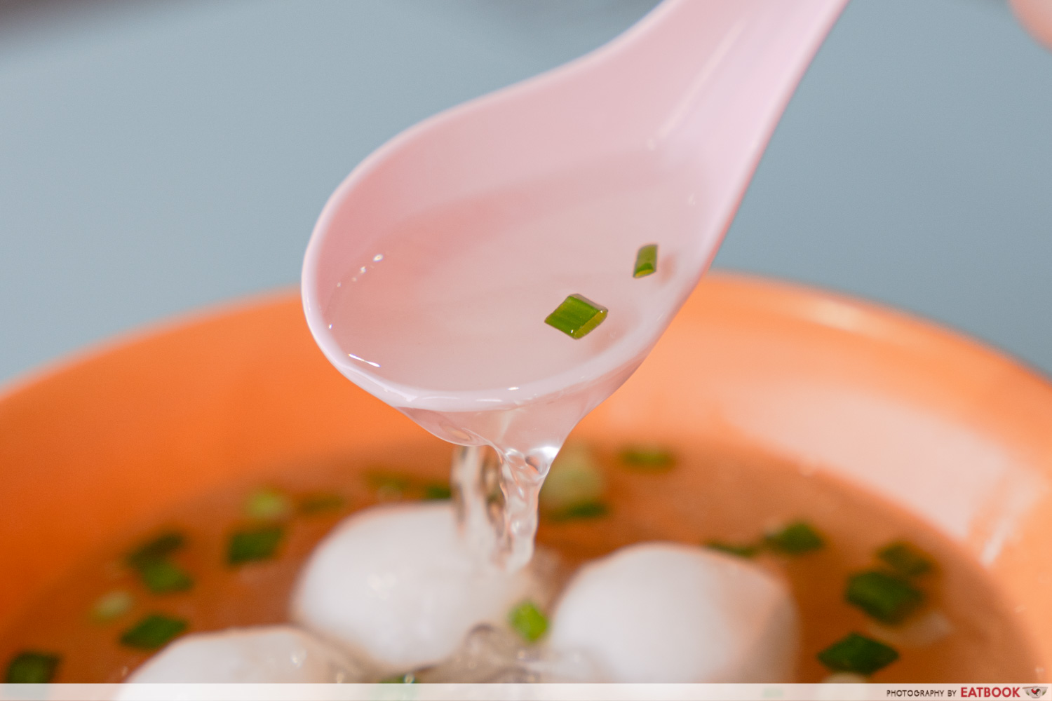 xin lu fishball noodle - soup