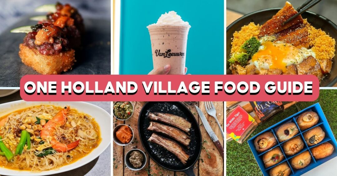one holland village cover