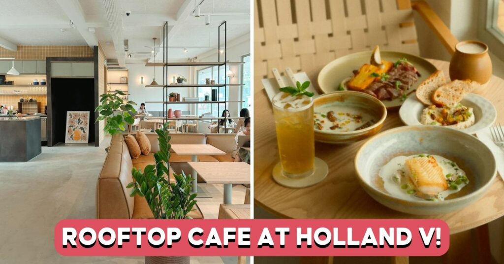 Frankie-and-Fern’s-feature-image