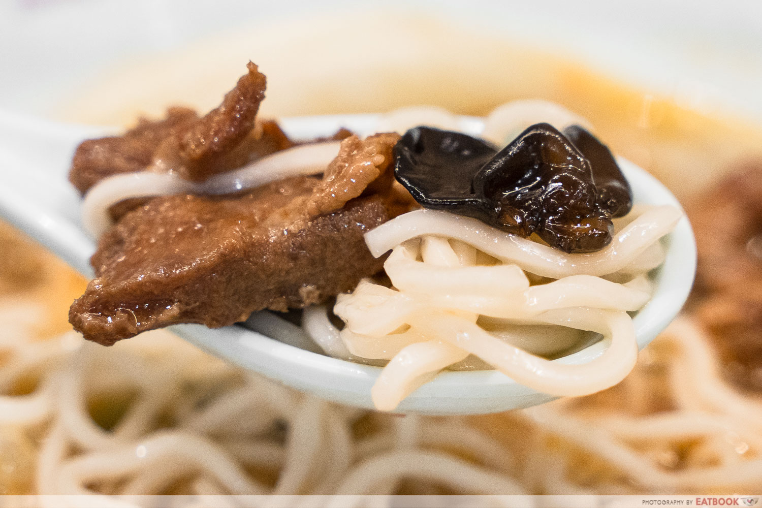 Zhang Ji Shanghai La Mian Xiao Long Bao - pork ribs noodles detail