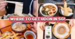 10 Udon Restaurants In Singapore For Tokyo-Viral Flat Noodles, Handmade Udon And More